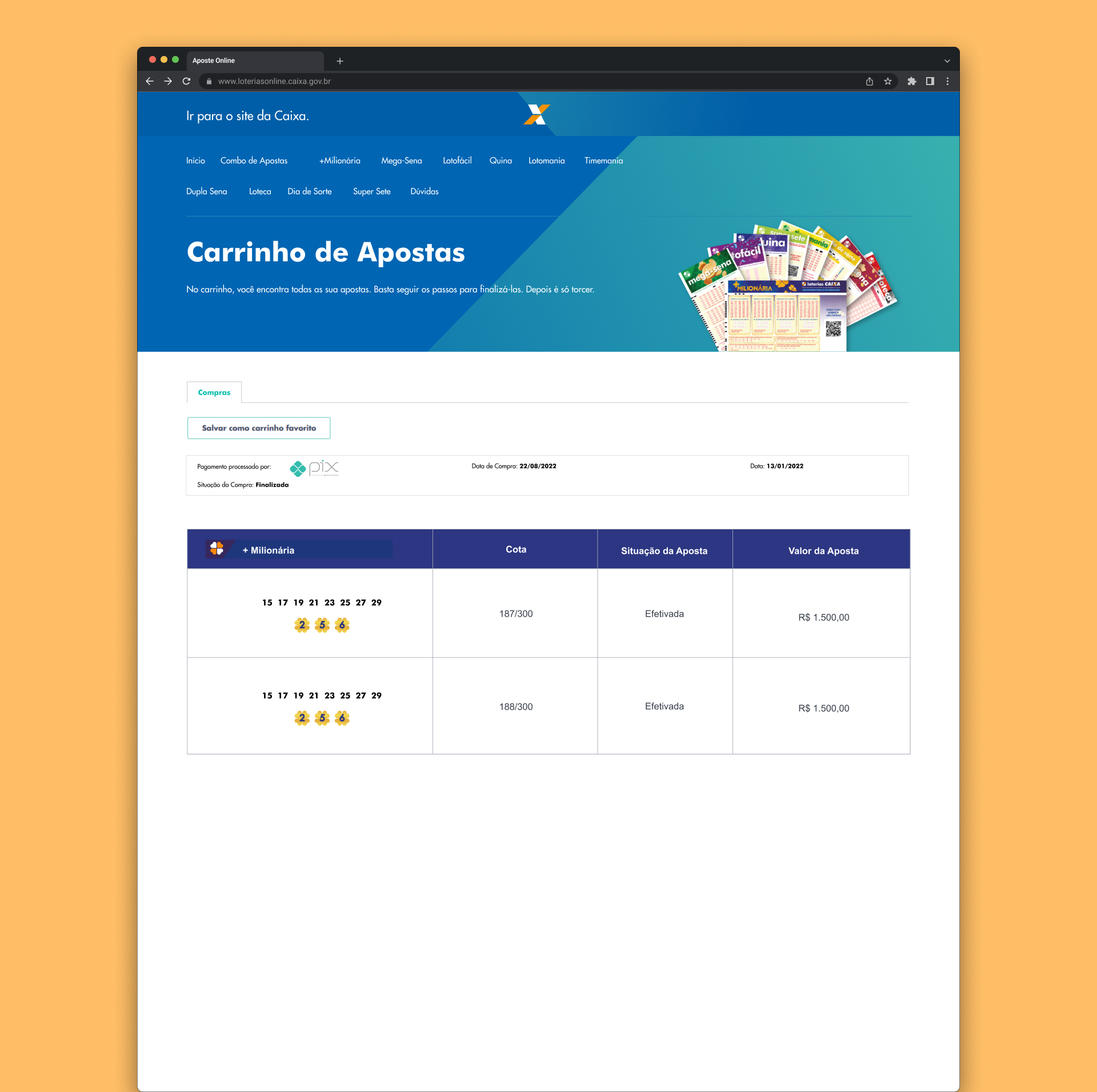 Detalhe da tela de pagamento