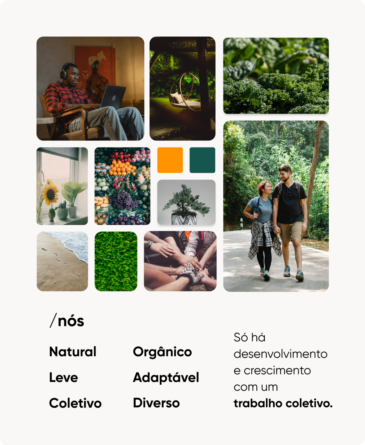 Moodboard do projeto para mobile (tema claro)